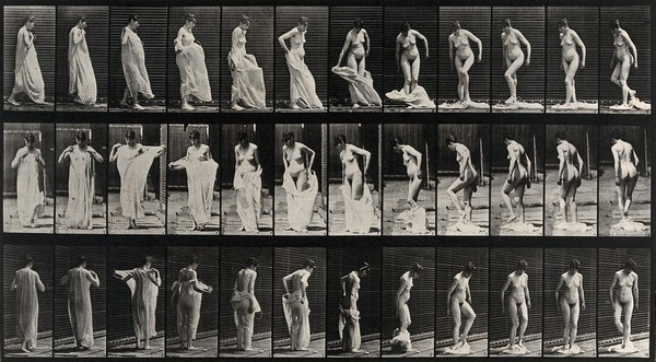 A woman undressing. Collotype after Eadweard Muybridge, 1887.