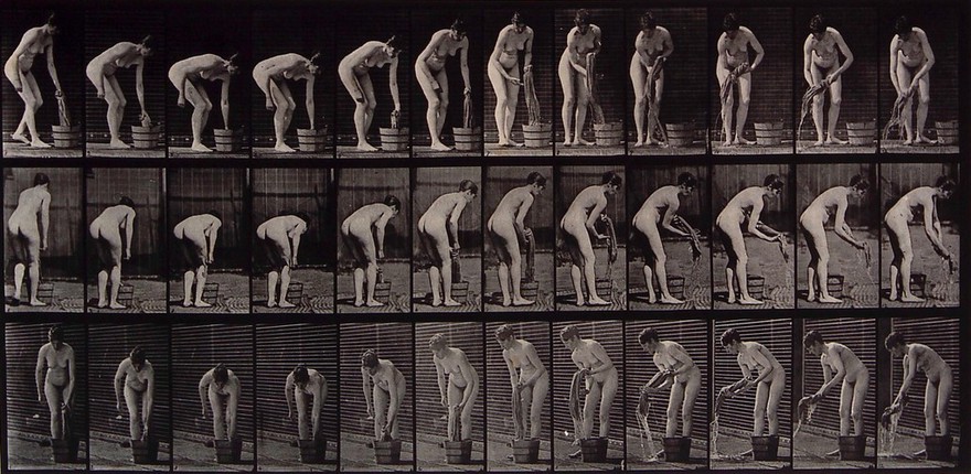 A woman wringing out a piece of cloth. Photogravure after Eadweard Muybridge, 1887.