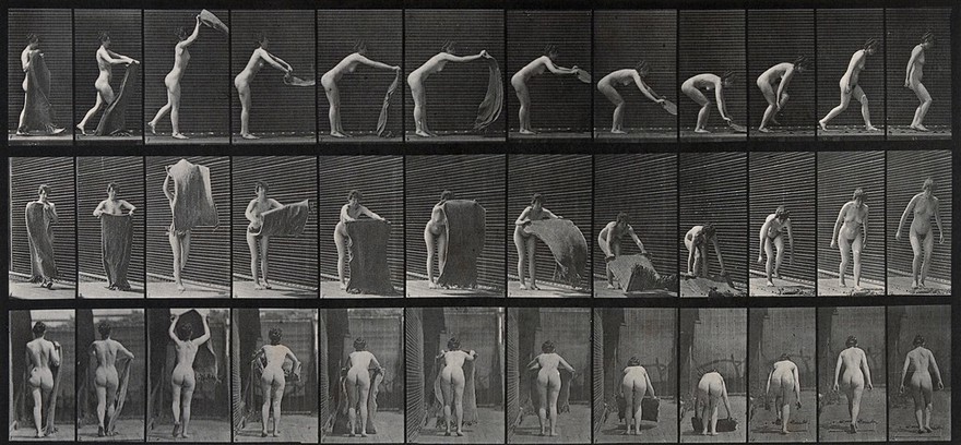 A woman placing a rug. Collotype after Eadweard Muybridge, 1887.