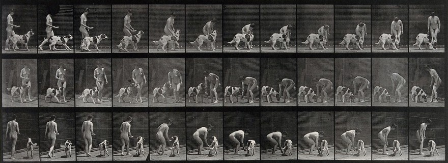 A woman feeding a dog. Collotype after Eadweard Muybridge, 1887.