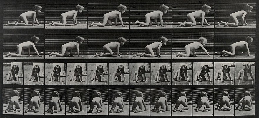 A little girl crawling. Collotype after Eadweard Muybridge, 1887.