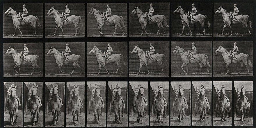 A woman riding sidesaddle. Collotype after Eadweard Muybridge, 1887.