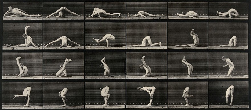 An acrobat in various contortions. Collotype after Eadweard Muybridge, 1887.