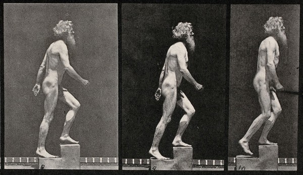 E. Muybridge throwing a disc, ascending stairs, and walking. Collotype after Eadweard Muybridge, 1887.