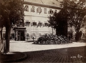 view St Roch Hospital, Budapest: exterior. Photograph, ca. 1890.