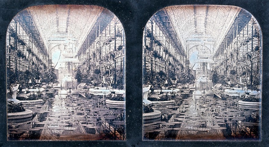 The Crystal Palace, London: the lily pond. Photograph, 1851/1862.