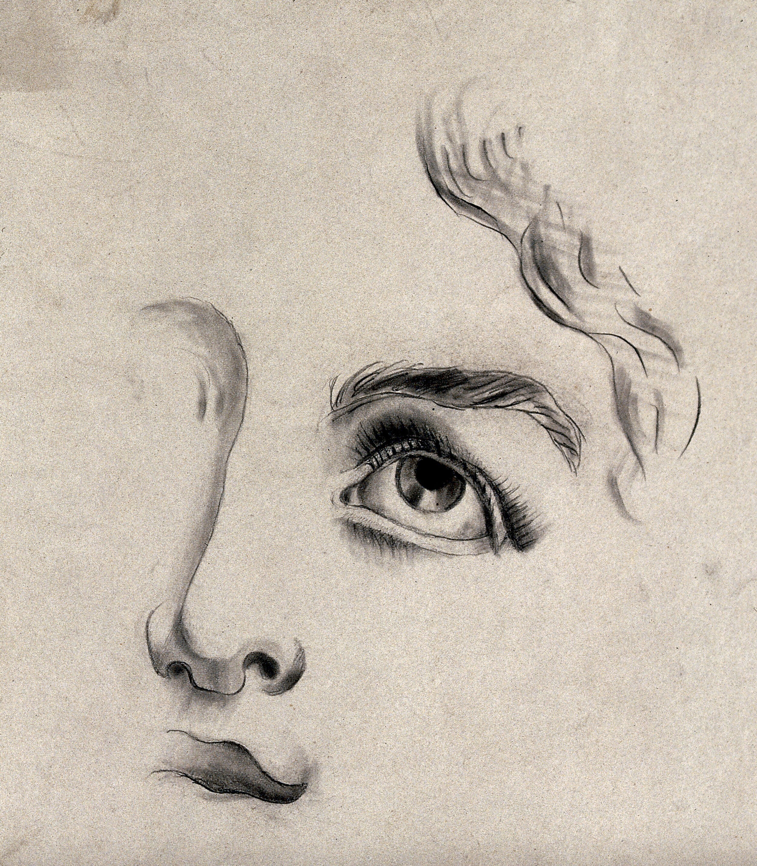 A Fragmentary Drawing Of A Face Pencil Drawing Wellcome Collection