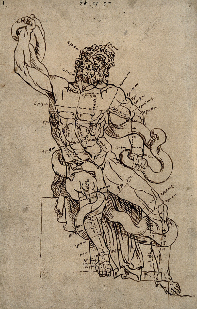 The Laocoön sculpture. Pen and ink drawing after G. Audran., by Gérard Audran