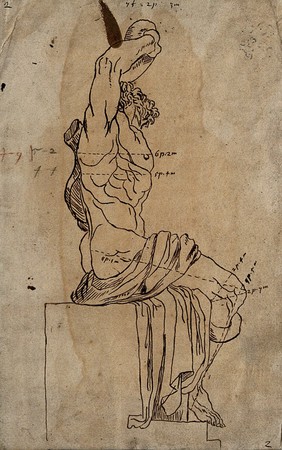 The Laocoön sculpture seen from the left. Pen and ink drawing after G. Audran.
