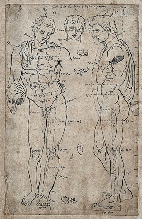 The Belvedere Antinous: frontal and lateral view and drawing of the head. Pen and ink drawing after G. Audran.