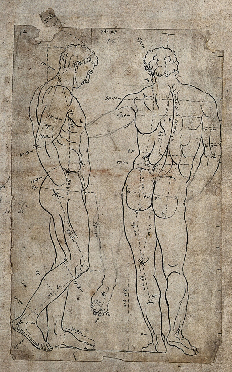 The Belvedere Antinous. Pen and ink drawing after G. Audran., by Gérard Audran