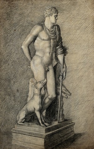 view The Vatican Meleager. Pencil drawing by J. Newton.