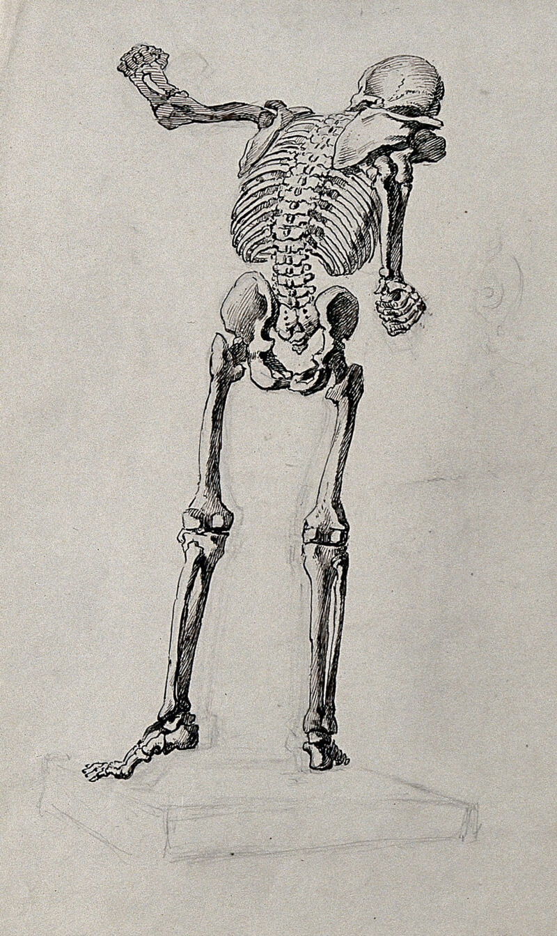 skeleton poses drawing