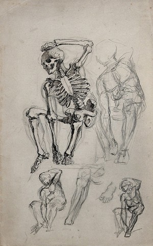 view A seated skeleton; five sketches of a seated figure and a leg and foot. Pen and ink and pencil drawing.