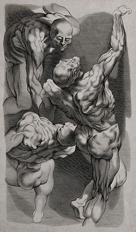 Three écorché male figures. Engraving.