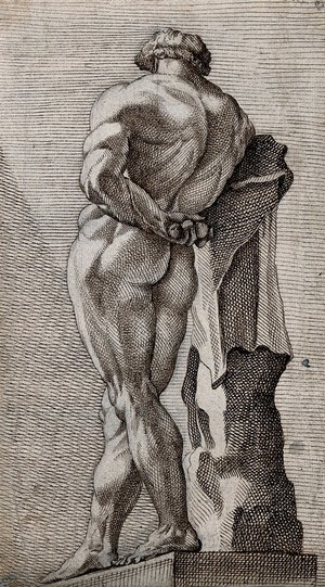 view The Farnese Hercules seen from behind. Pen and ink drawing.