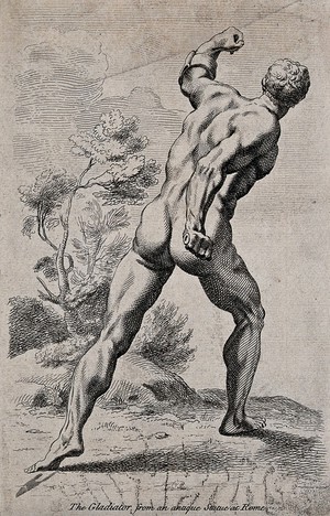 view The Borghese Gladiator seen from behind. Etching.