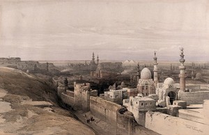 view Cairo, looking west, Egypt. Coloured lithograph by Louis Haghe after David Roberts, 1849.