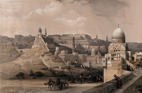 Cairo with the residence of Mehemet Ali in the citadel, Egypt. Coloured lithograph by Louis Haghe after David Roberts, 1849.