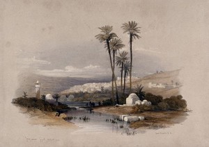 view Palm trees at Jenin, possibly the site of ancient Jezreel. Coloured lithograph by Louis Haghe after David Roberts, 1843.