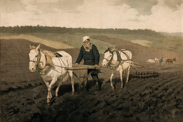 A Russian peasant ploughing his field with two horses and other peasants ploughing in the background. Colour lithograph.