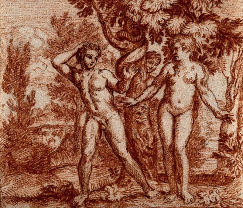 adam and eve drawing