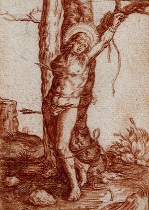 view Saint Sebastian tied to tree. Red chalk drawing.