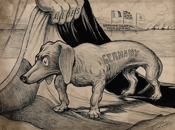 The German flag is being pulled by the Allies from under a dachshund representing Germany; representig the seizure of German colonies by the Allies in the First World War. Drawing by A.G. Racey, 191-.