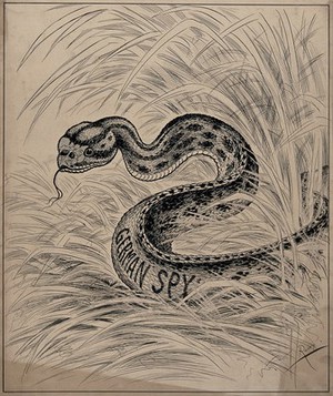 view A snake in the grass, representing German spies in World War I. Drawing by A.G. Racey, 191-.