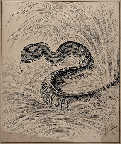A snake in the grass, representing German spies in World War I. Drawing by A.G. Racey, 191-.