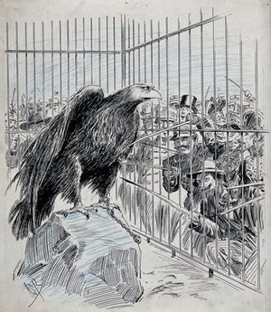 view The Dreyfus case: an eagle wearing eyeglasses, representing Alfred Dreyfus, is imprisoned in a cage; men are poking him with their swords. Drawing by A.S. Boyd, ca. 1902.