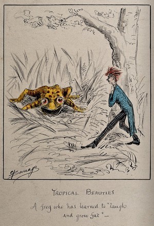 view A young man chances on a gigantic yellow frog. Drawing attributed to Edwin Harcourt Burrage, 18--.