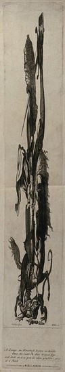 Saint George fighting the dragon: anamorphic representation. Engraving by J. Harris after S.H., 1821.