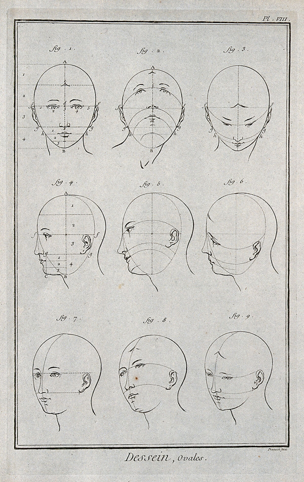 Oval heads. Engraving by B.L. Prevost., by Benoît-Louis Prévost