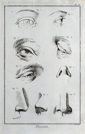 Eyes and noses. Engraving by B.L. Prevost.