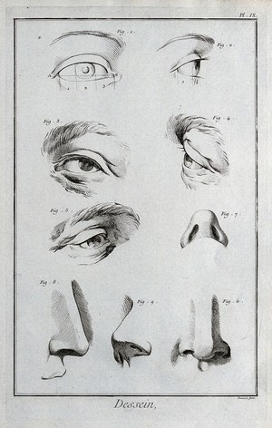 view Eyes and noses. Engraving by B.L. Prevost.