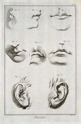 Mouths and ears. Engraving by Defehrt after L.J. Goussier.