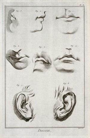 view Mouths and ears. Engraving by Defehrt after L.J. Goussier.