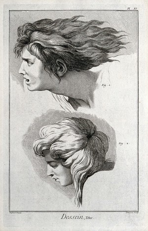 view Two heads in profile. Engraving by B.L. Provost after Raphael.