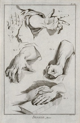 Hands. Engraving by B.L. Prevost.