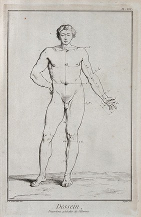 Standing figure of a nude man. Engraving by Defehrt after C.N. Cochin.