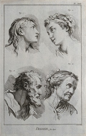 Four heads of a young man, a girl, a bearded man and an old woman. Engraving by B.L. Prevost.