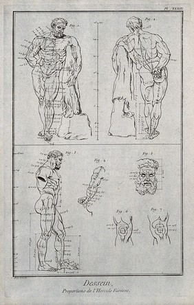 The Farnese Hercules seen from the front, the back and in profile; details of the right arm, head and knee. Engraving by B.L. Prevost after G. Audran.