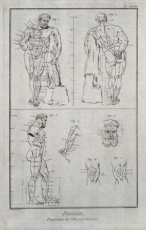 view The Farnese Hercules seen from the front, the back and in profile; details of the right arm, head and knee. Engraving by B.L. Prevost after G. Audran.