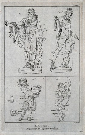 The Apollo Belvedere seen from the front and in three quarter view; a boy holding a water vessel; one of the sons of Laocoön battling with a serpent. Engraving by A.J. Defehrt after G. Audran.