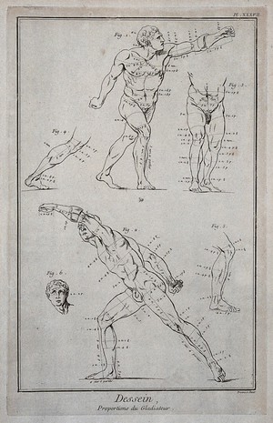 view The Borghese Gladiator seen in several views and in details. Engraving by B.L. Prevost.