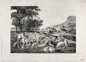 view Shepherds and shepherdesses with sheep in countryside by a river. Etching by J. Desaulx and F. Godefroy, ca. 180-, after P.P. Rubens.