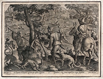 Hunting: dogs chase hares towards pens while hunters on horseback look on. Engraving by Philipps Galle after J. Stradanus.