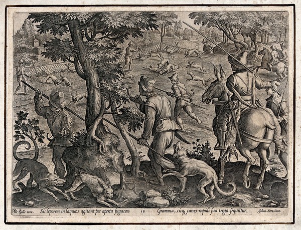 Hunting: dogs chase hares towards pens while hunters on horseback look on. Engraving by Philipps Galle after J. Stradanus.