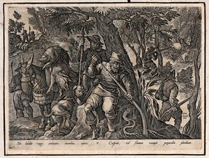 view Hunting: dogs sniff around as boar are tracked, shot and strung up on horseback, killed by lead bullets. Engraving by Philipps Galle after Jan van der Straet.
